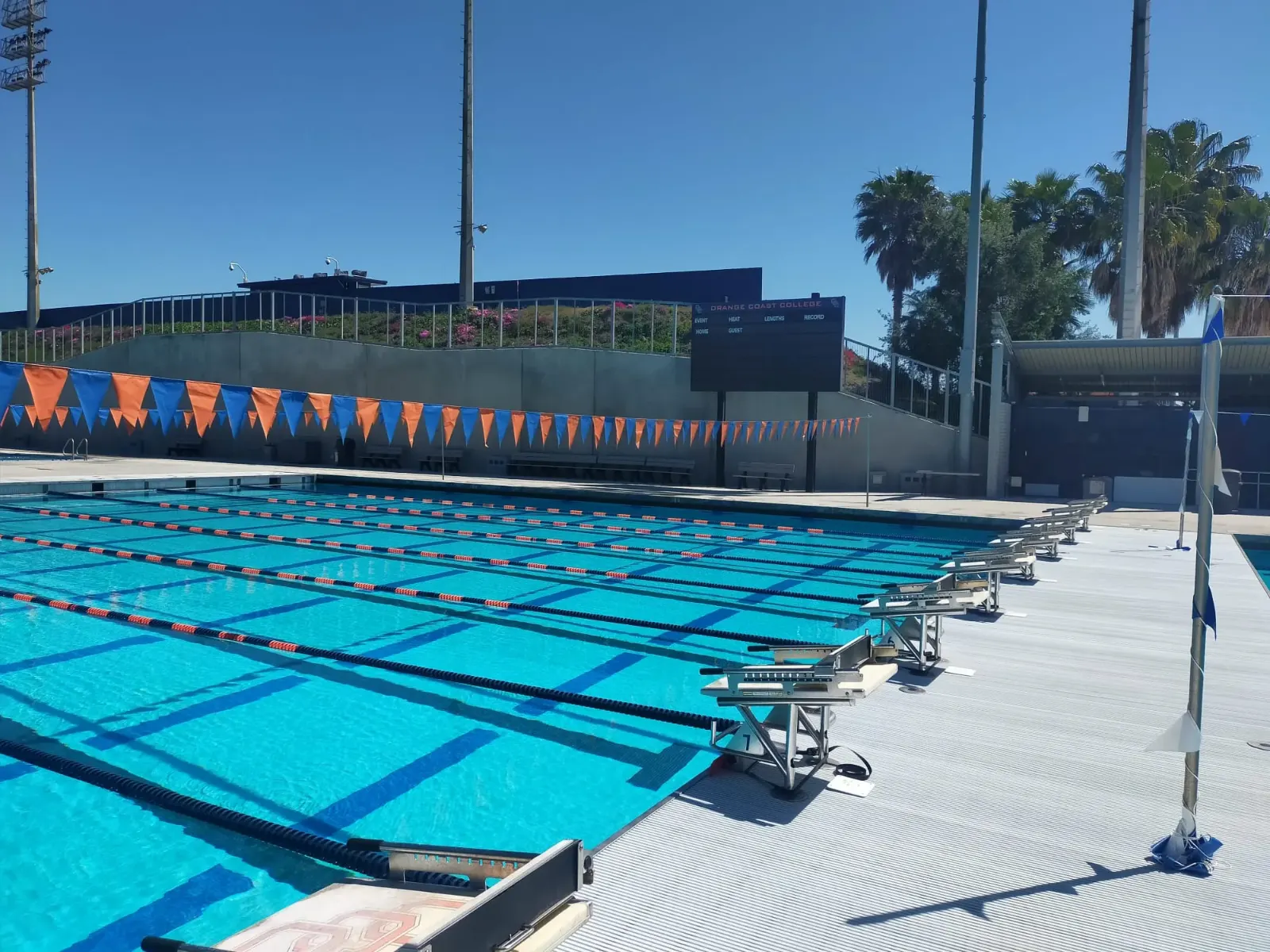 OCC Olympic Pool 2.jpeg