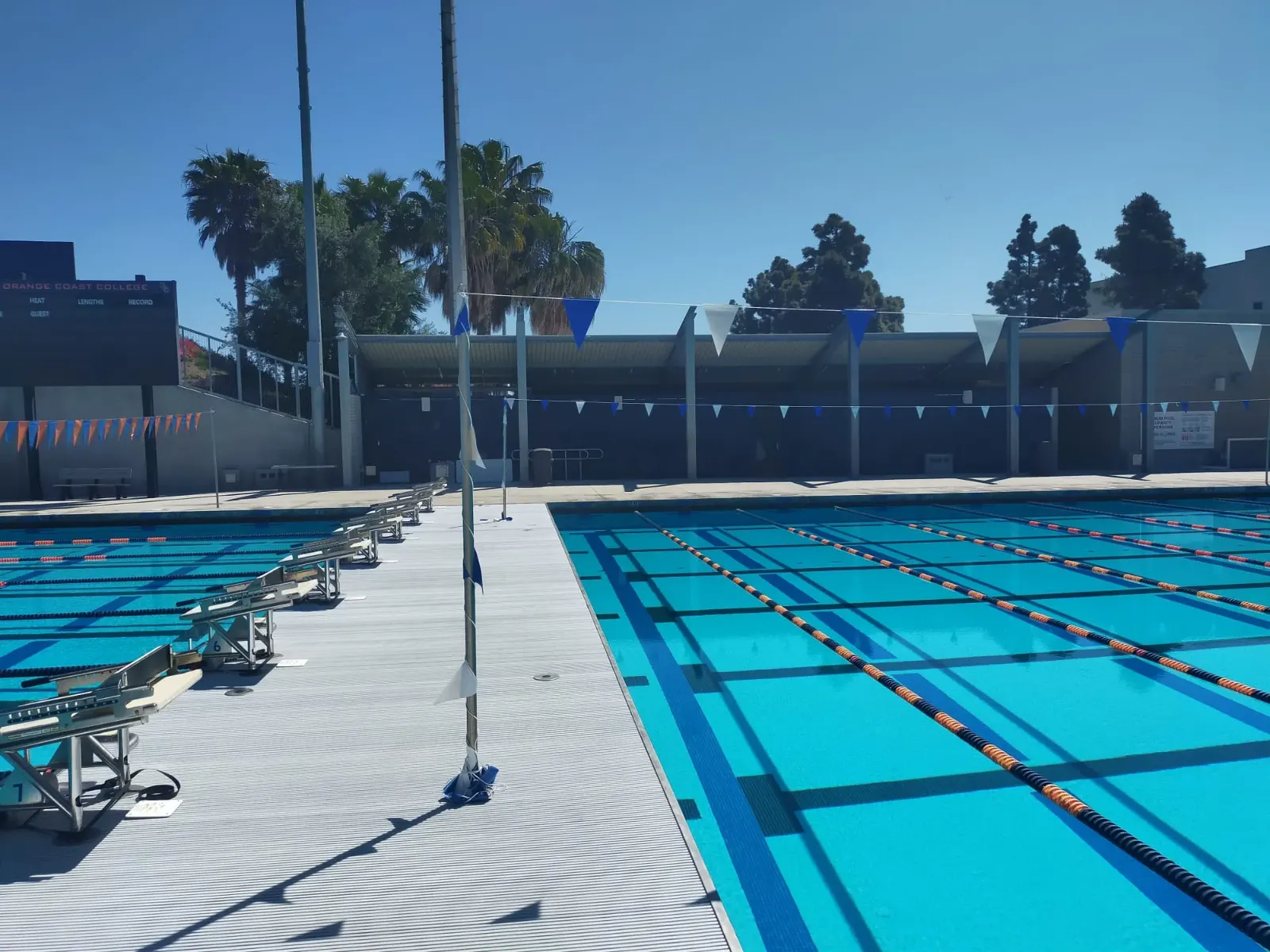 OCC Olympic Pool.jpeg