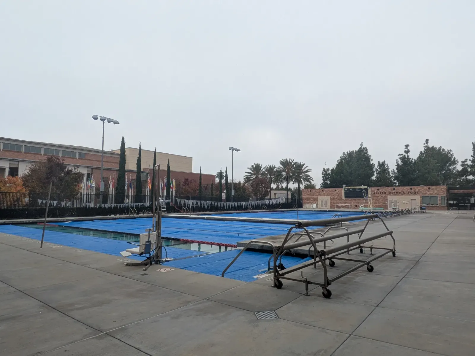 PXL_20251217_174828124.jpg