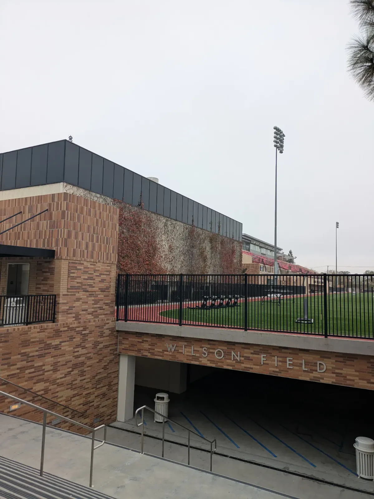 Wilson Field 3.jpg