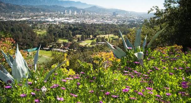 Griffith Park.jpeg