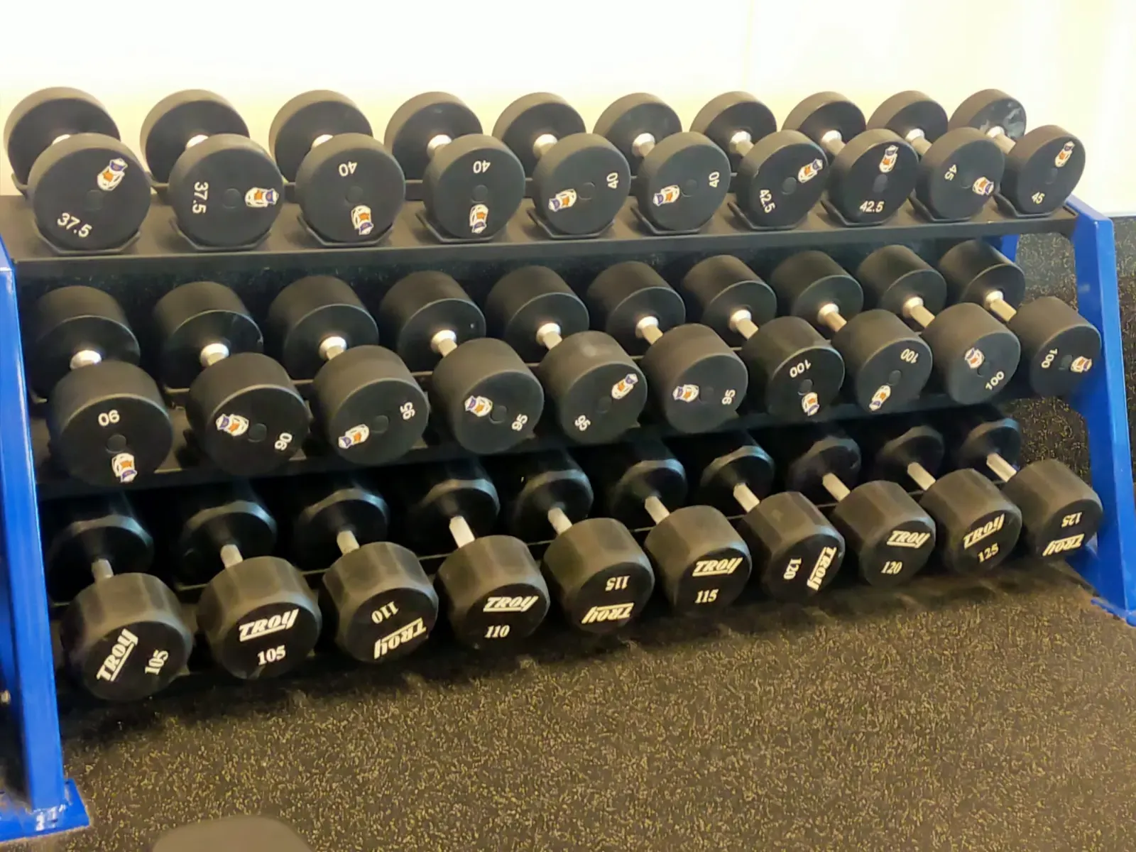 CLAREMONT Weights.jpeg
