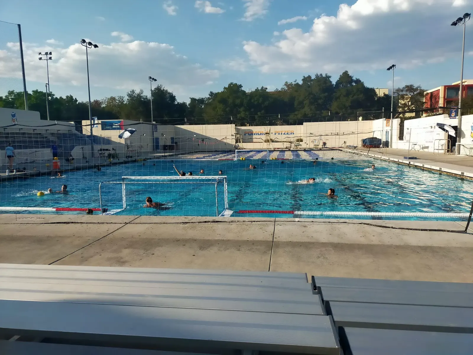 CLAREMONT Olympic Pool.jpeg