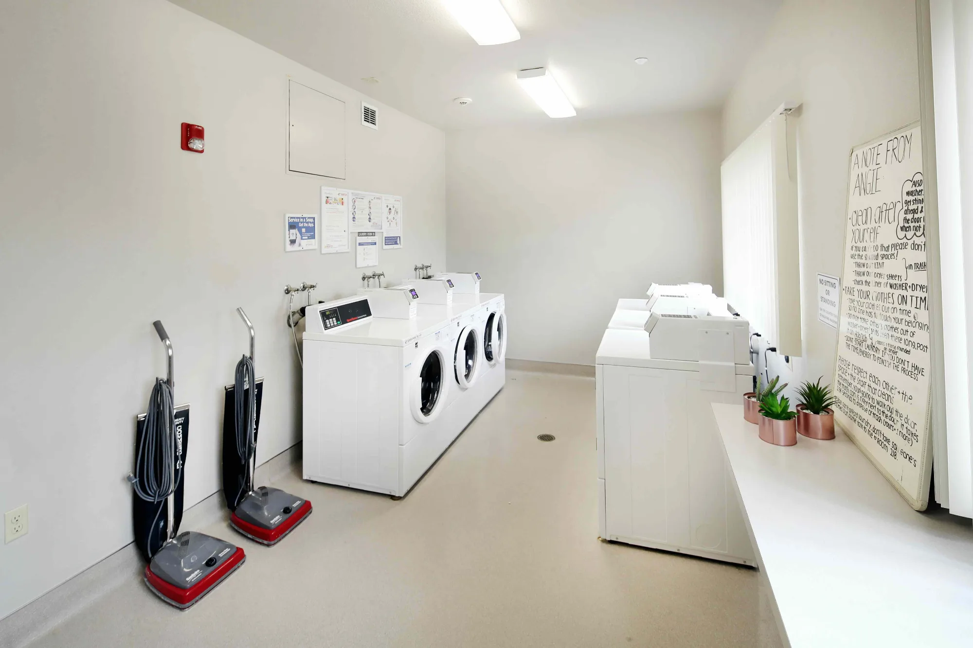 Catalina_Laundry.jpeg